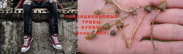 соль курить ск Белокуриха