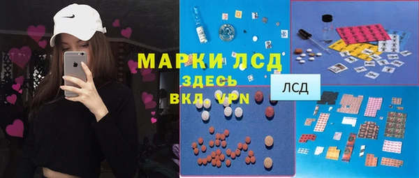 прущие грибы Белоозёрский