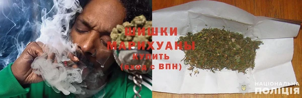 прущие грибы Белоозёрский