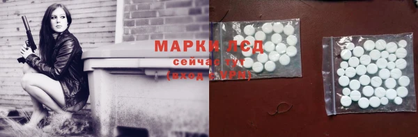 прущие грибы Белоозёрский