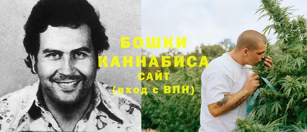 прущие грибы Белоозёрский