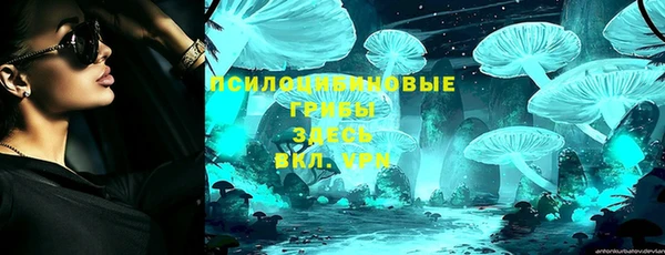 прущие грибы Белоозёрский