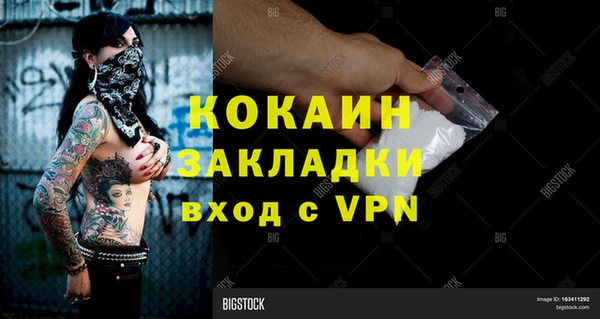 прущие грибы Белоозёрский