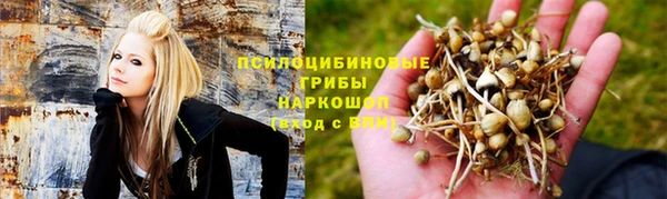 дурь Беломорск
