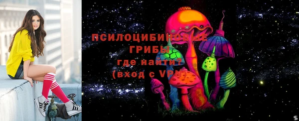 соль курить ск Белокуриха
