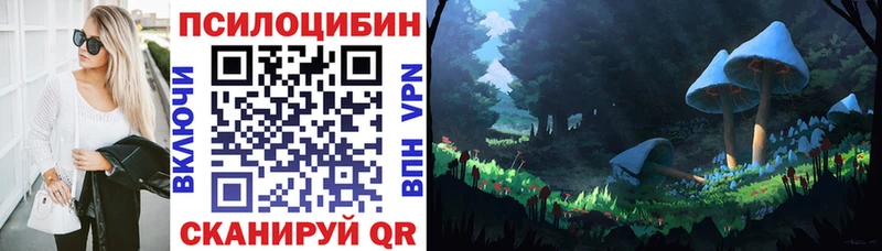 Псилоцибиновые грибы Psilocybe  Первомайск 